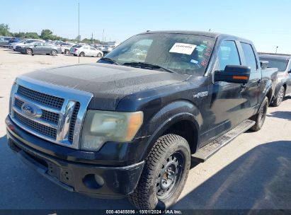 2010 FORD F-150 FX2 SPORT/XL/XLT Black  Gasoline 1FTEW1C89AKE25797 photo #3