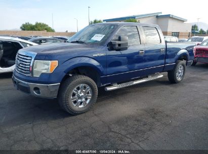 2010 FORD F-150 FX2 SPORT/HARLEY-DAVIDSON/KING RANCH/LARIAT/PLATINUM/XL/XLT Blue  Flexible Fuel 1FTFW1CV2AFB09998 photo #3