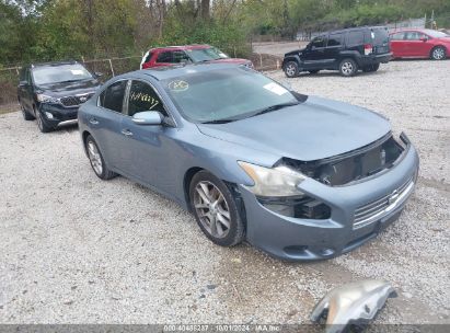 2010 NISSAN MAXIMA 3.5 SV Light Blue  Gasoline 1N4AA5AP9AC808380 photo #1