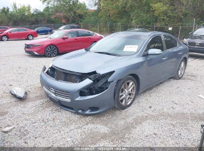 2010 NISSAN MAXIMA 3.5 SV Light Blue  Gasoline 1N4AA5AP9AC808380 photo #3