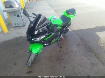 2013 KAWASAKI EX300 A Green  Other JKAEX8A11DDA10569 photo #3