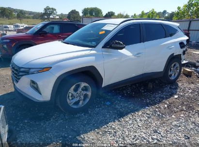 2022 HYUNDAI TUCSON SEL White  Gasoline 5NMJB3AE2NH027489 photo #3