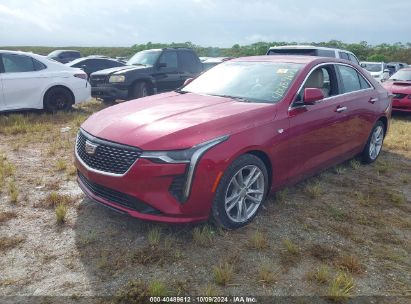 2023 CADILLAC CT4 LUXURY Burgundy  Gasoline 1G6DA5RK9P0141369 photo #3