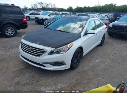 2015 HYUNDAI SONATA SE White  Gasoline 5NPE24AF9FH059019 photo #3