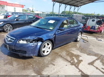 2006 ACURA TL Blue  Gasoline 19UUA662X6A066120 photo #3