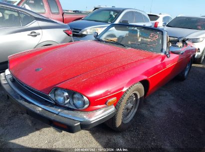 1989 JAGUAR XJS Red  Gasoline SAJNV4846KC163681 photo #3