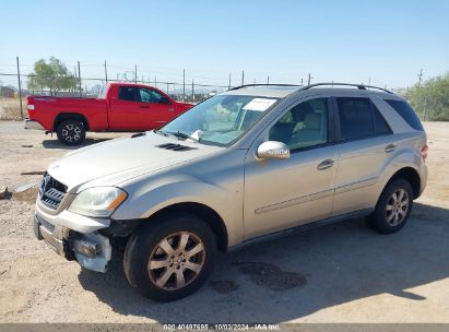 2006 MERCEDES-BENZ ML 350 4MATIC Champagne  Gasoline 4JGBB86E46A139129 photo #3