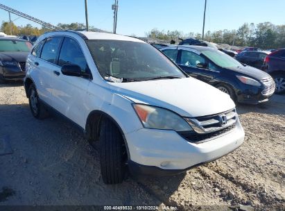 2010 HONDA CR-V LX White  Gasoline 3CZRE3H39AG705282 photo #1