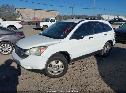 2010 HONDA CR-V LX White  Gasoline 3CZRE3H39AG705282 photo #3