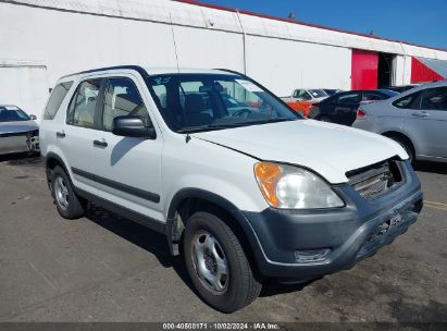 2002 HONDA CR-V LX White  Gasoline JHLRD78442C021451 photo #1