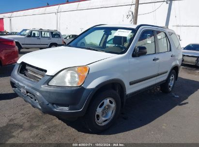 2002 HONDA CR-V LX White  Gasoline JHLRD78442C021451 photo #3