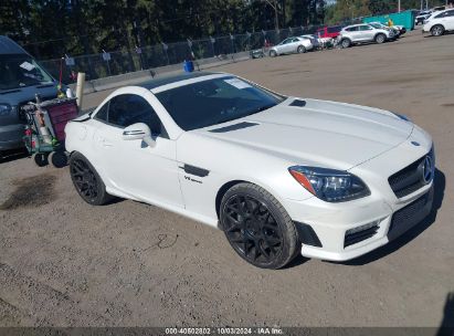 2012 MERCEDES-BENZ SLK 55 AMG White  Gasoline WDDPK7FA0CF031029 photo #1