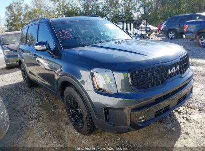 2024 KIA TELLURIDE SX PRESTIGE X-PRO Blue  Gasoline 5XYP5DGC3RG424173 photo #1