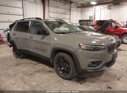 2022 JEEP CHEROKEE X 4X4 Gray  Flexible Fuel 1C4PJMCX5ND526250 photo #1