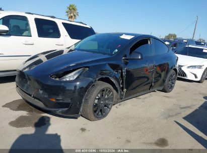 2021 TESLA MODEL Y LONG RANGE DUAL MOTOR ALL-WHEEL DRIVE Black  Electric 5YJYGDEE1MF142665 photo #3