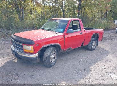 1996 DODGE DAKOTA Red  Gasoline 1B7FL26X8TW703560 photo #3