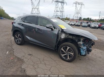 2021 LEXUS NX 300 Gray  Gasoline JTJGARBZ8M2198197 photo #1