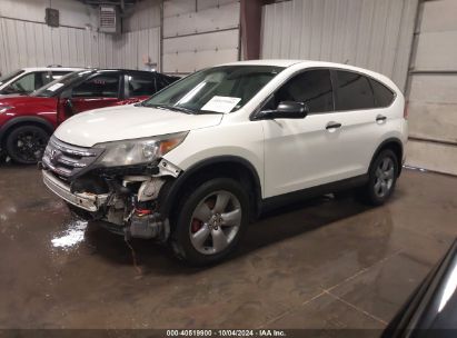 2014 HONDA CR-V LX White  Gasoline 5J6RM4H33EL116195 photo #3