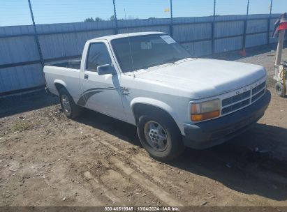 1995 DODGE DAKOTA White  Gasoline 1B7FL26G9SW912496 photo #1