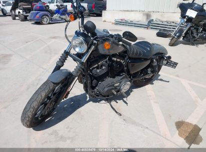 2022 HARLEY-DAVIDSON XL883 N Black  Gasoline 1HD4LE217NB415371 photo #3