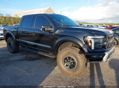 2024 FORD F-150 RAPTOR Black  Gasoline 1FTFW1RG5RFA36002 photo #1