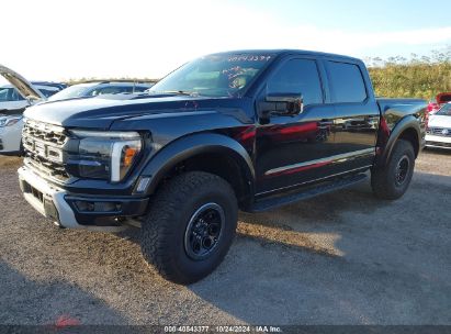 2024 FORD F-150 RAPTOR Black  Gasoline 1FTFW1RG5RFA36002 photo #3