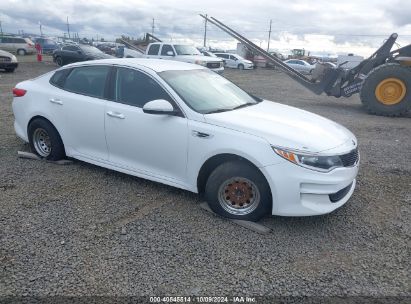 2016 KIA OPTIMA LX White  Gasoline 5XXGT4L3XGG002561 photo #1