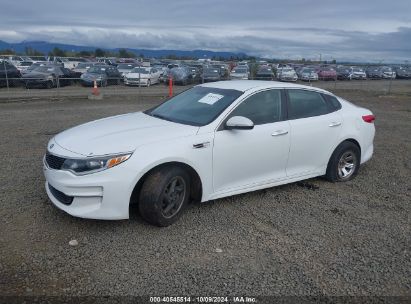 2016 KIA OPTIMA LX White  Gasoline 5XXGT4L3XGG002561 photo #3