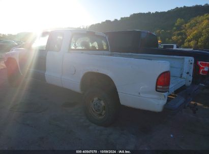 2003 DODGE DAKOTA White  Gasoline 1D7HG12X73S212844 photo #4