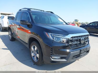 2024 HONDA RIDGELINE RTL Black  Gasoline 5FPYK3F56RB026447 photo #1