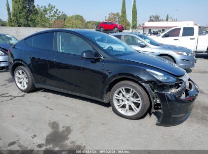 2021 TESLA MODEL Y LONG RANGE DUAL MOTOR ALL-WHEEL DRIVE Black  Electric 5YJYGDEE3MF207290 photo #1