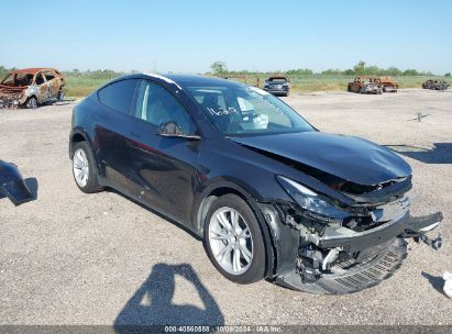 2024 TESLA MODEL Y LONG RANGE/RWD Gray  Electric 7SAYGDED1RF052031 photo #1