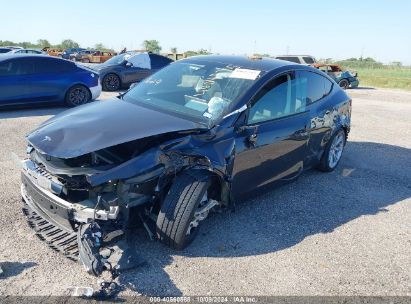 2024 TESLA MODEL Y LONG RANGE/RWD Gray  Electric 7SAYGDED1RF052031 photo #3