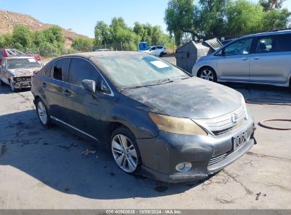 2010 LEXUS HS 250H Gray  Hybrid JTHBB1BA8A2009872 photo #1