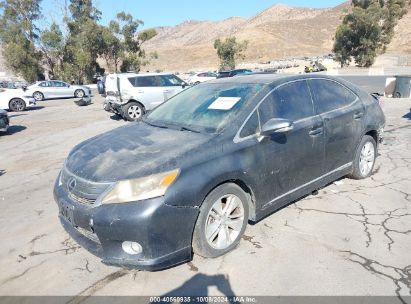 2010 LEXUS HS 250H Gray  Hybrid JTHBB1BA8A2009872 photo #3