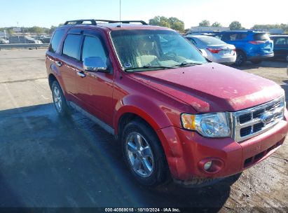 2009 FORD ESCAPE XLT Red  Gasoline 1FMCU03G09KA63722 photo #1