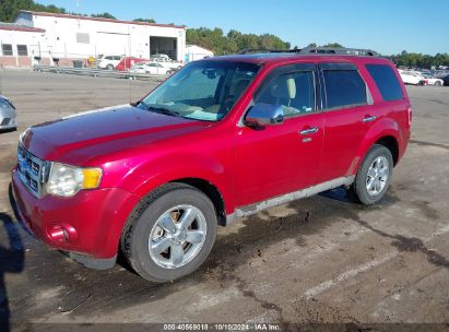 2009 FORD ESCAPE XLT Red  Gasoline 1FMCU03G09KA63722 photo #3