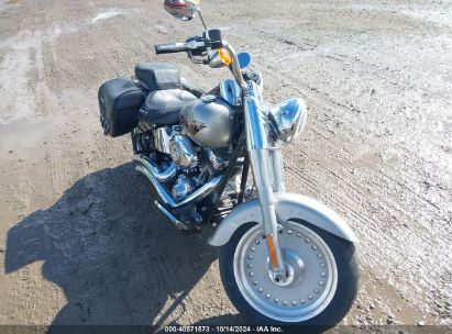 2009 HARLEY-DAVIDSON FLSTF Silver  Other 1HD1BX5159Y027703 photo #1