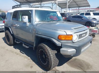 2011 TOYOTA FJ CRUISER Silver  Gasoline JTEZU4BF5BK011552 photo #1