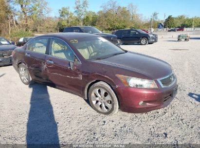 2010 HONDA ACCORD 3.5 EX-L Red  Gasoline 5KBCP3F83AB017791 photo #1