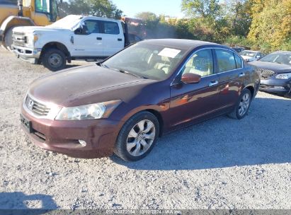 2010 HONDA ACCORD 3.5 EX-L Red  Gasoline 5KBCP3F83AB017791 photo #3