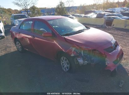 2010 TOYOTA COROLLA LE Red  Gasoline 2T1BU4EE0AC341432 photo #1