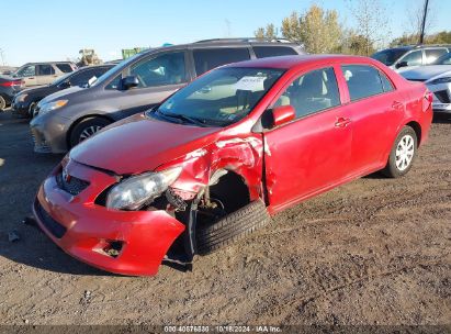 2010 TOYOTA COROLLA LE Red  Gasoline 2T1BU4EE0AC341432 photo #3