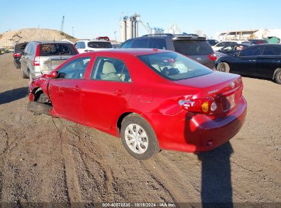 2010 TOYOTA COROLLA LE Red  Gasoline 2T1BU4EE0AC341432 photo #4