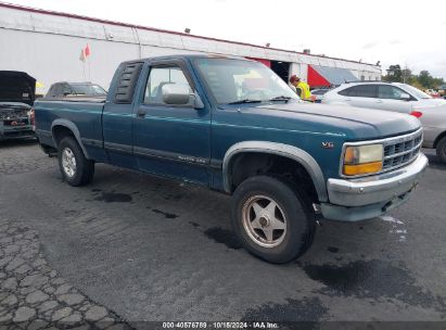 1995 DODGE DAKOTA Green  Gasoline 1B7GG23X6SS379009 photo #1