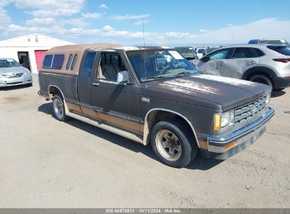 1986 CHEVROLET S TRUCK S10 Brown  Gasoline 1GCCS14RXG8204581 photo #1