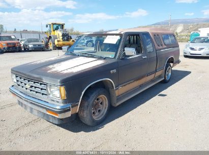 1986 CHEVROLET S TRUCK S10 Brown  Gasoline 1GCCS14RXG8204581 photo #3