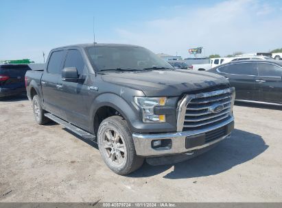 2015 FORD F-150 XLT Gray  Gasoline 1FTEW1EF9FKE37886 photo #1