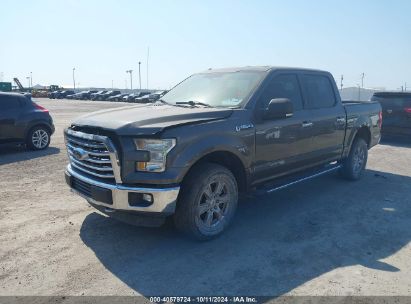 2015 FORD F-150 XLT Gray  Gasoline 1FTEW1EF9FKE37886 photo #3