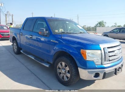 2009 FORD F-150 XLT Blue  Gasoline 1FTRW12829FA56630 photo #1